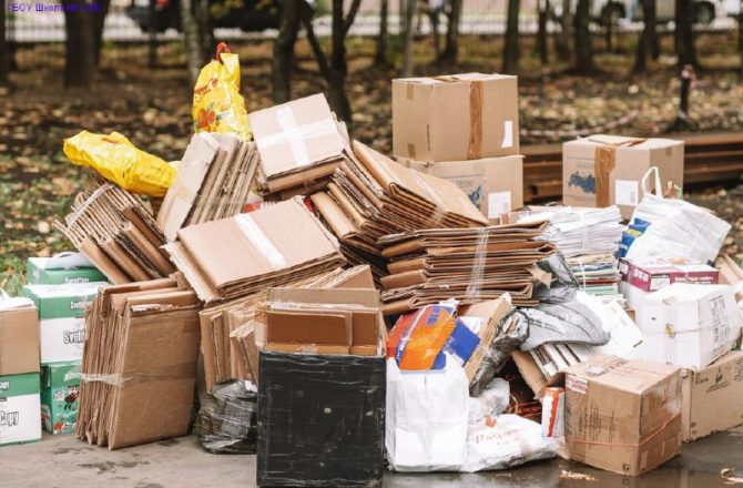 Соликамцы отправили в дело более 12 тонн бумаги